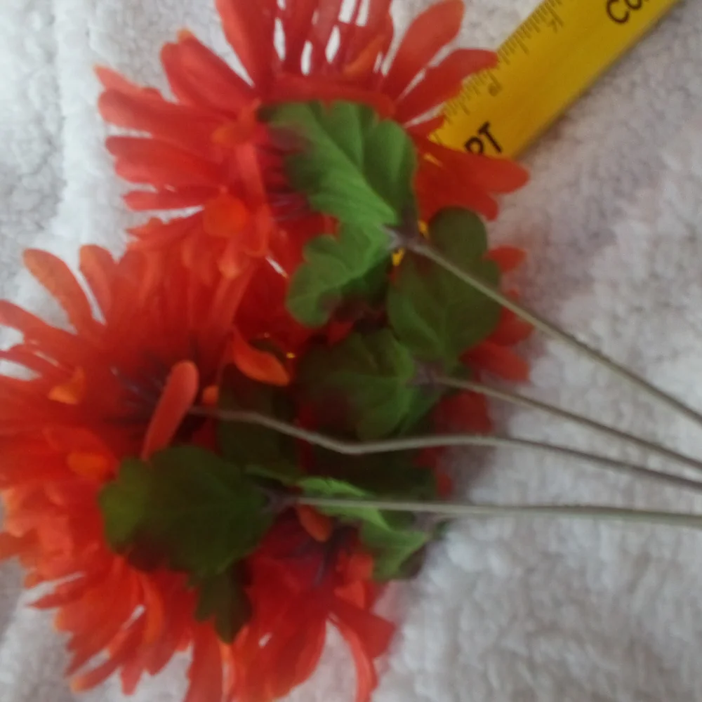 Orange Mums